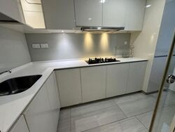 Lakeville (D22), Condominium #508175451